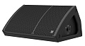MOOSE MA12 Активный сценический монитор 12" + 1", усилитель класса D, SMPS, DSP 