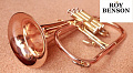ROY BENSON FH-302G Bb Флюгельгорн (цвет золото)